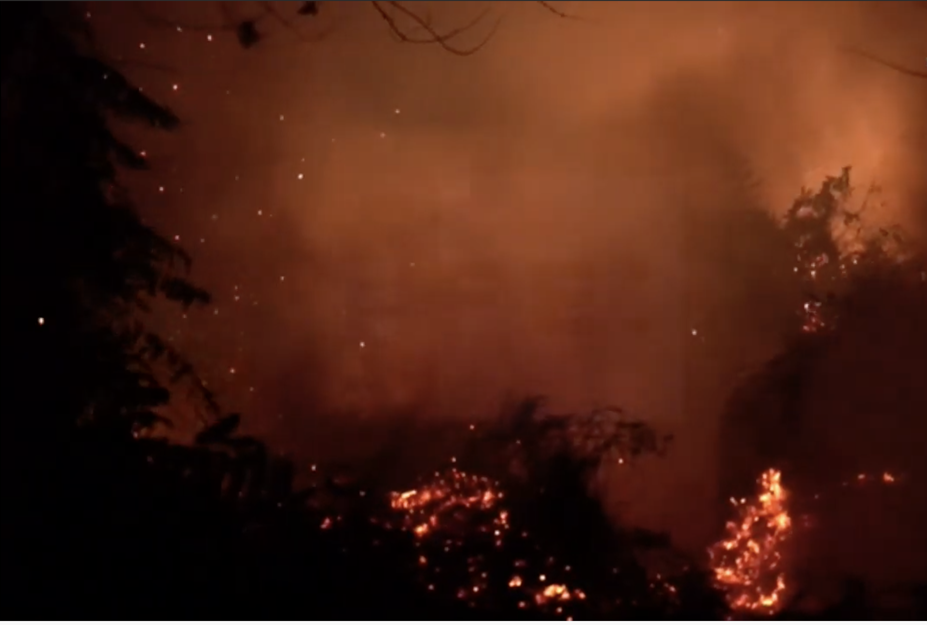 Las llamas arrasan Indonesia