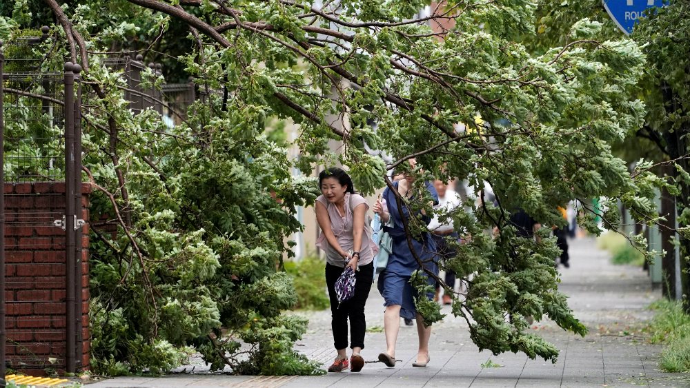 Tres muertos y 40 heridos, saldo preliminar en Japón del tifón Faxai