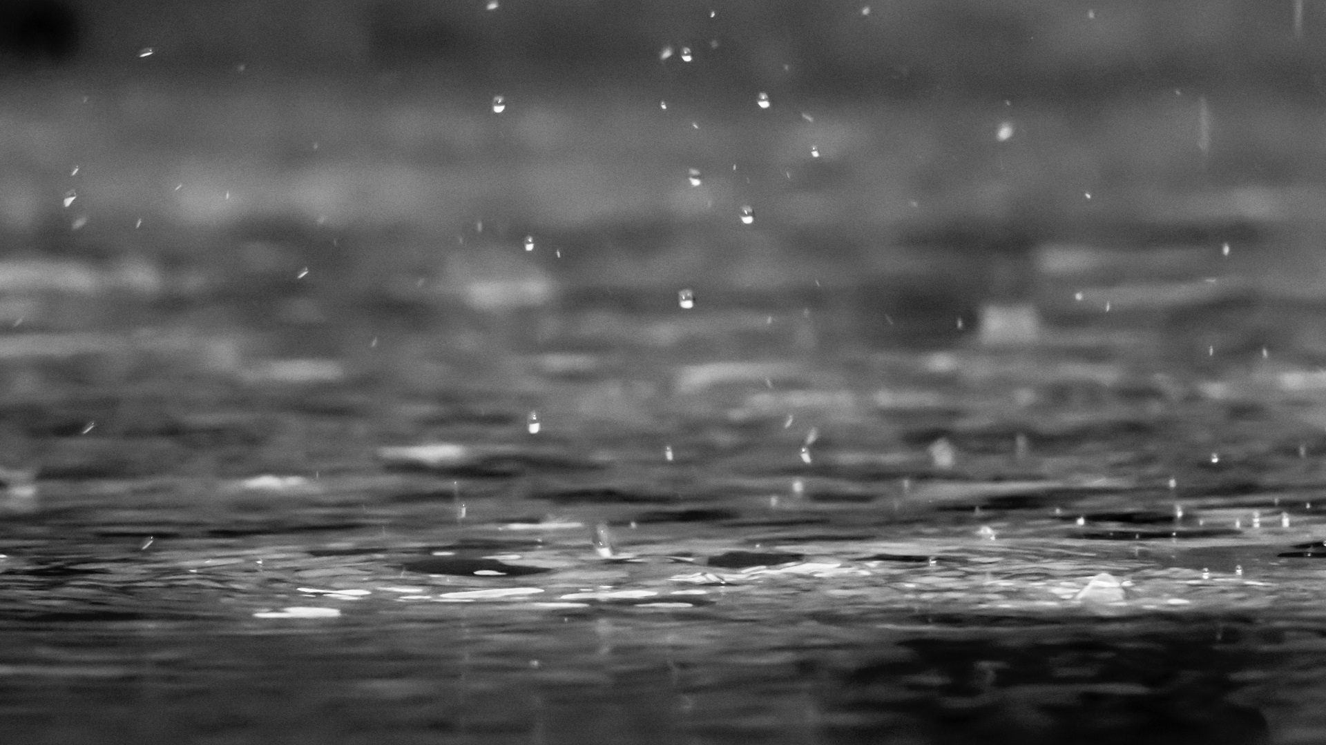 Harold, ahora como depresión tropical, causará lluvias “muy fuertes” en el norte de México Harold, ahora como depresión tropical, causará lluvias “muy fuertes” en el norte de México