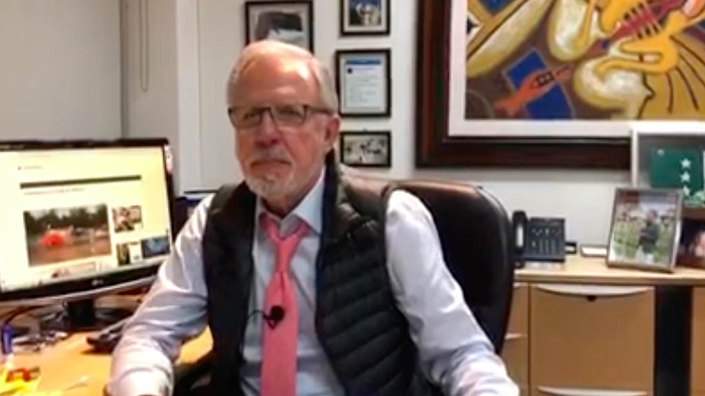 Partidos en vías de extinción antes de nacer