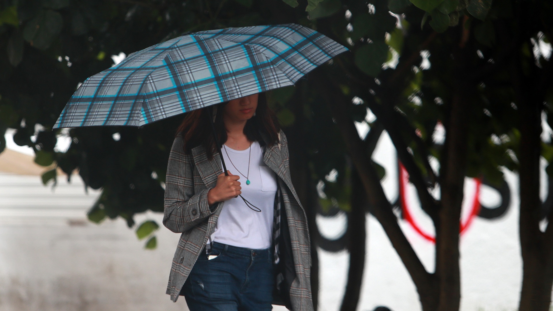 Prevén lluvias este sábado en gran parte del país