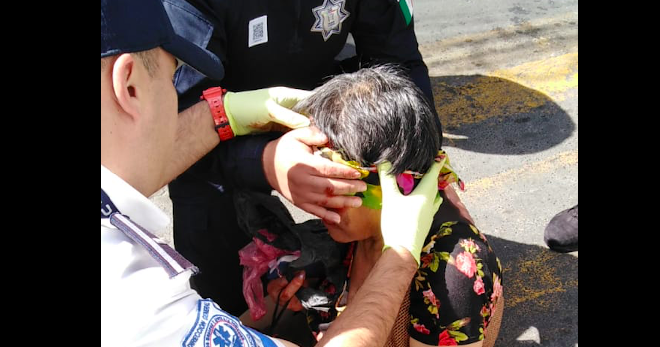 #Video Caballos de la policía montada se desbocan en Toluca