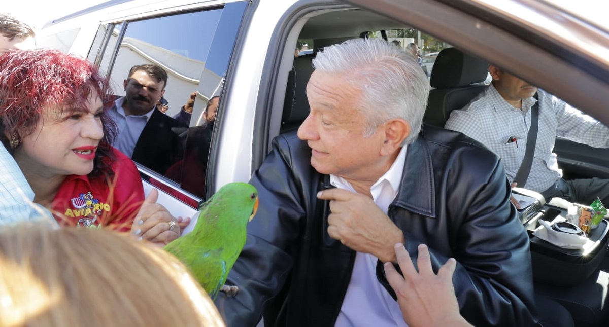 #Video Mujer regala un perico a López Obrador