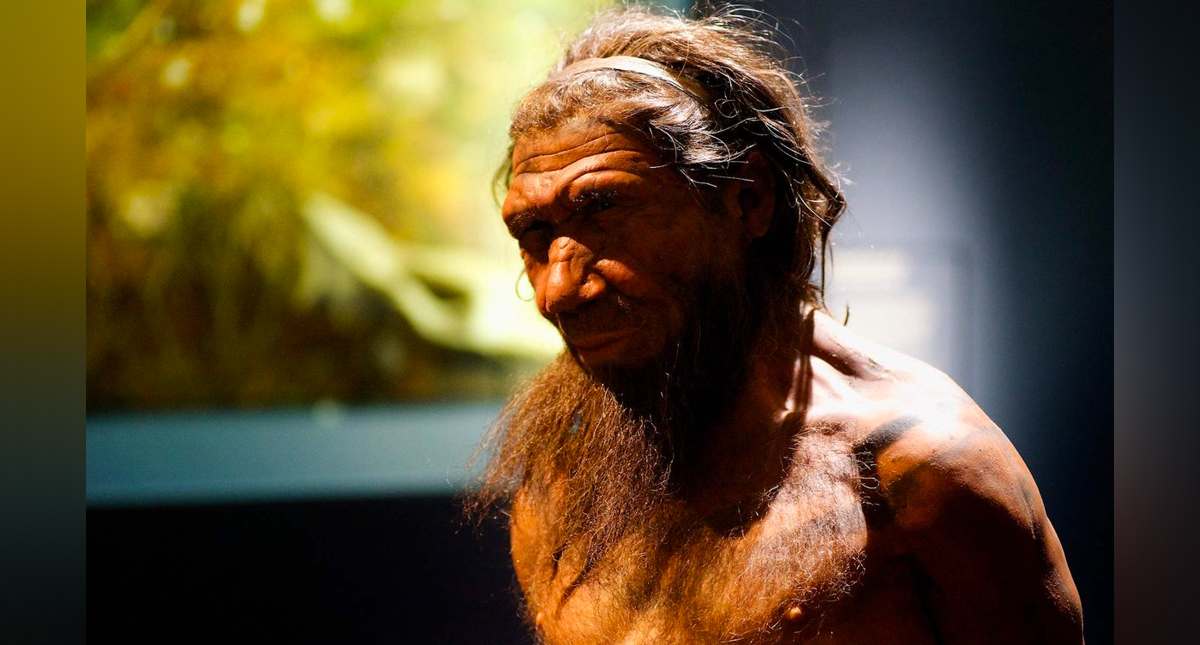 Huellas de 80 mil años de antigüedad dan pistas sobre los neandertales