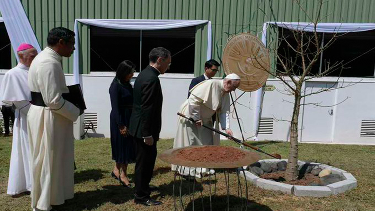 El papa Francisco advierte de los peligros de la deforestación global