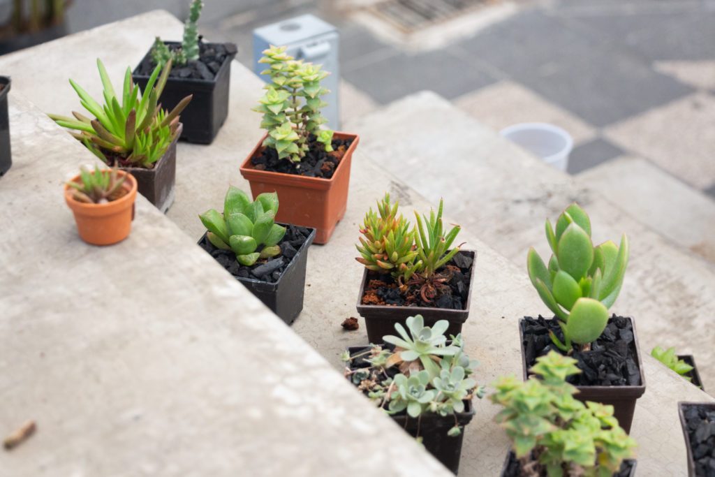 Recomendaciones para el fin de semana - plan-fest