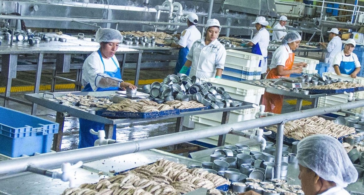 Productividad laboral extiende retroceso en segundo trimestre