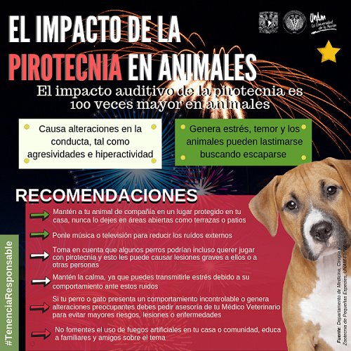 Tips para cuidar a las mascotas de la pirotecnia - recomendaciones-para-cuidar-a-las-mascotas-de-la-pirotecnia