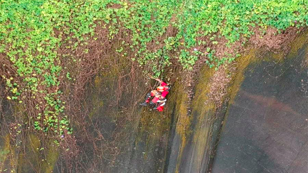#Video Rescatan a perro a punto de caer en acantilado en Perú