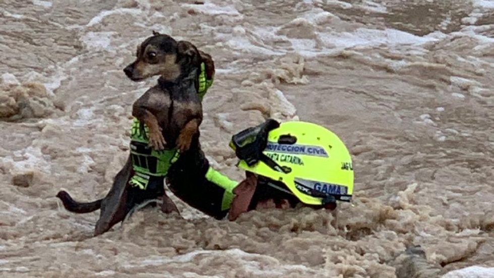 #Video Rescatan a hombre y su perro en río de Nuevo León