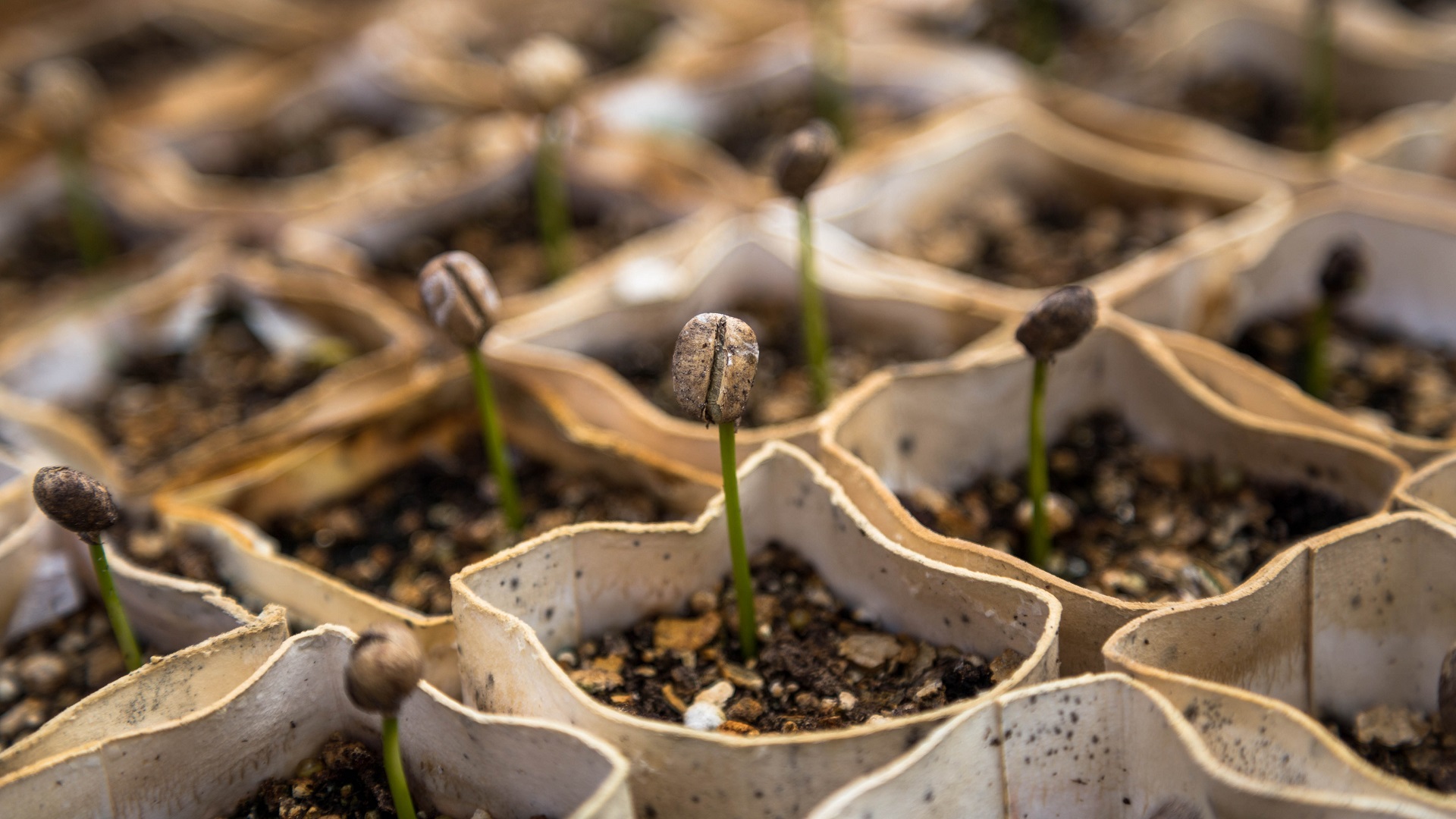 Fondos contra crisis climática en países pobres aumentaron en 2017