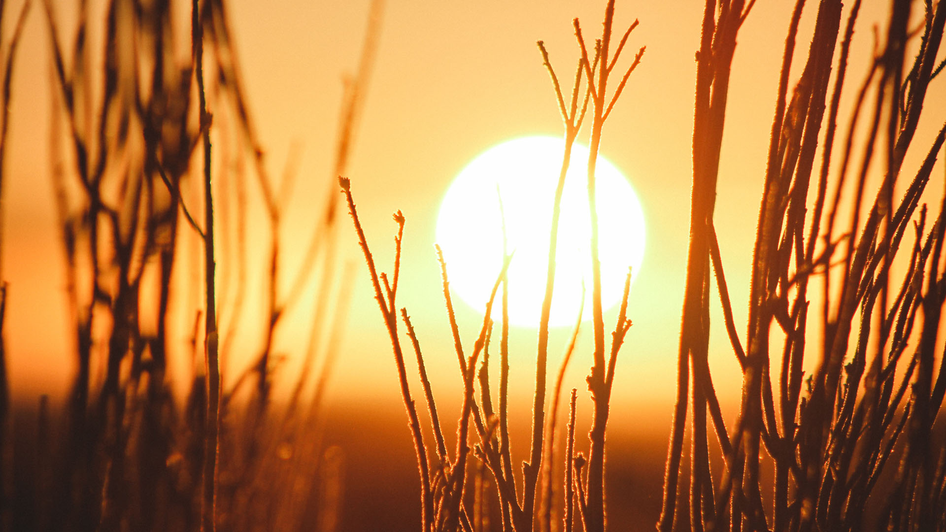 Científicos alertan que cambio climático será peor de lo previsto