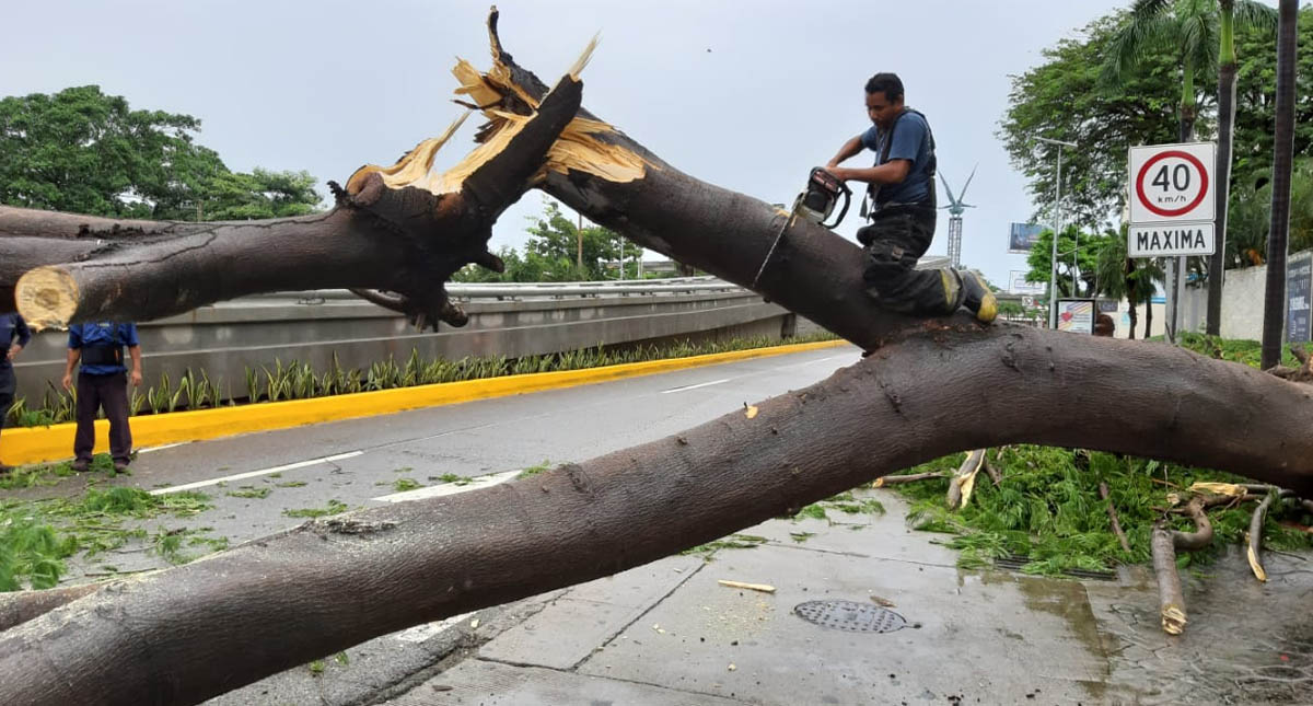 Tormenta Narda provoca afectaciones en varios estados