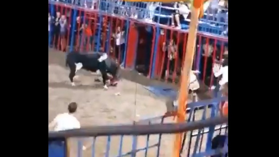 #Video Toro embiste a niño que cayó al ruedo desde grada en España