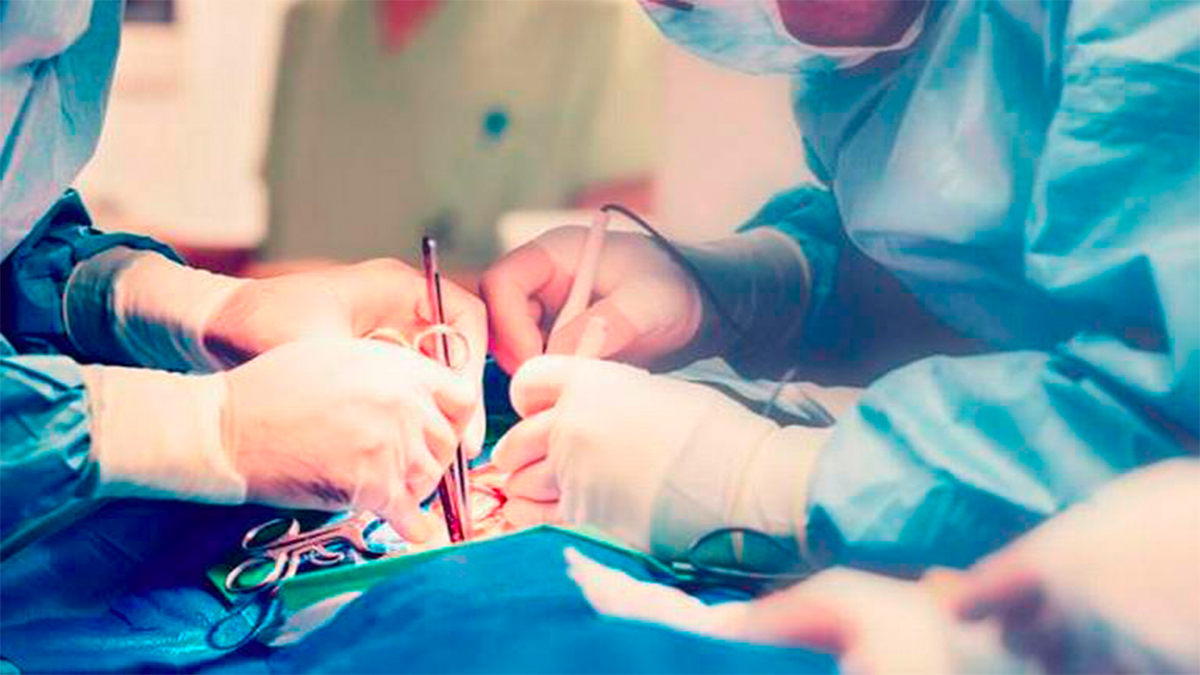 Muere una persona al día en México esperando un trasplante