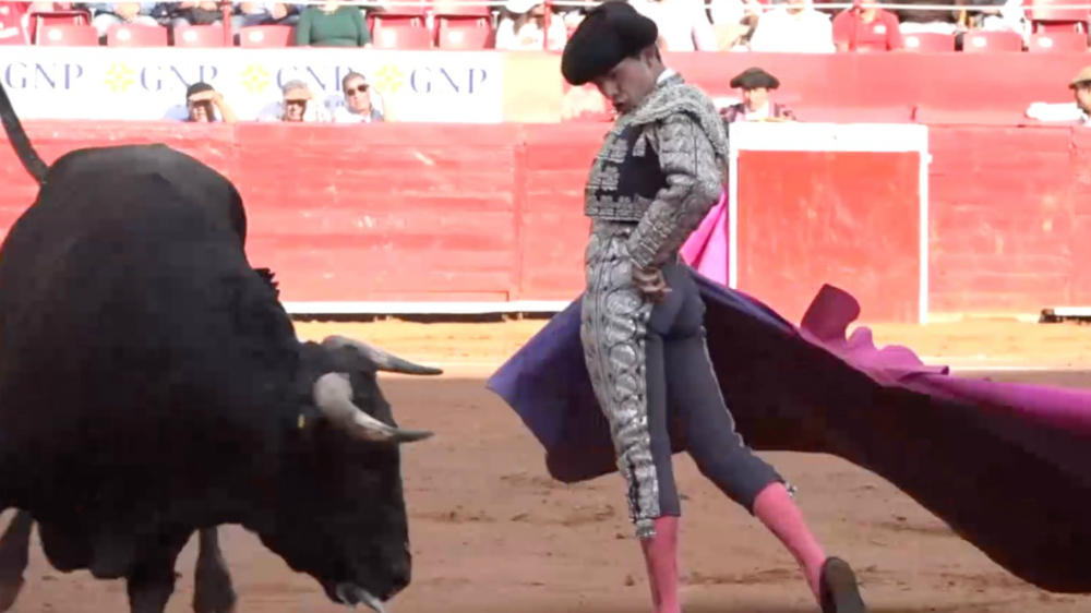 Tercera novillada de la Monumental Plaza de Toros México