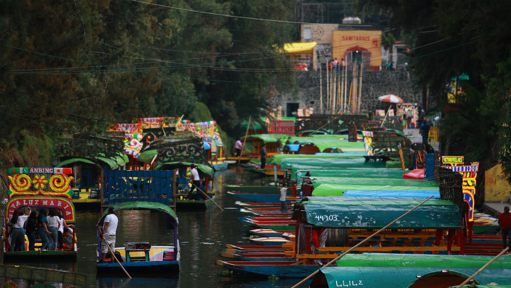Policías capitalina y ribereña reforzarán seguridad en Xochimilco