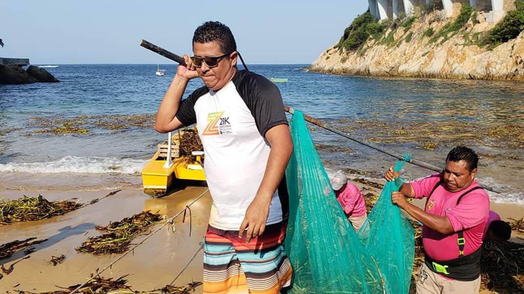 Retiran más de 28 toneladas de lirio acuático en playas de Acapulco