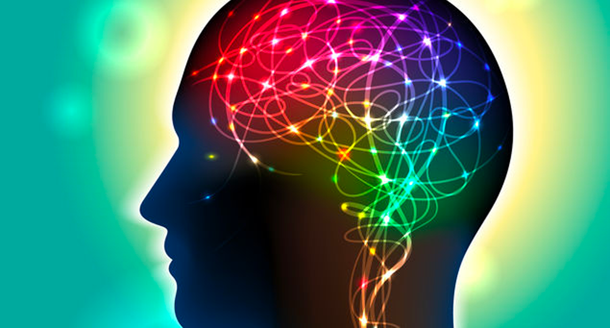 Científicos reconstruyen imágenes de la actividad cerebral con videos de YouTube