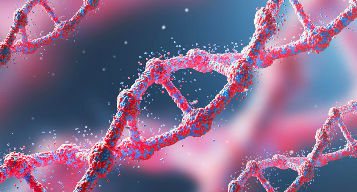 La primera secuencia completa del genoma humano revela regiones ocultas