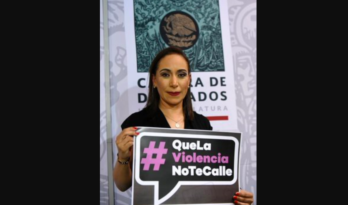 Pese a disculpa de Noroña, continuaré con acciones legales: Adriana Dávila