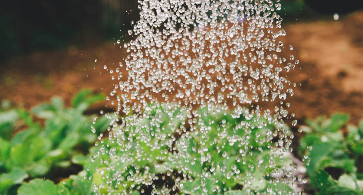 Morena corrige y pide retirar cobro de agua a agricultores