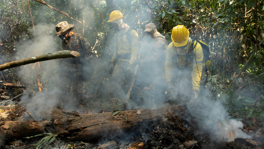 Deforestación en la Amazonia brasileña aumenta un 93 por ciento en lo que va de 2019