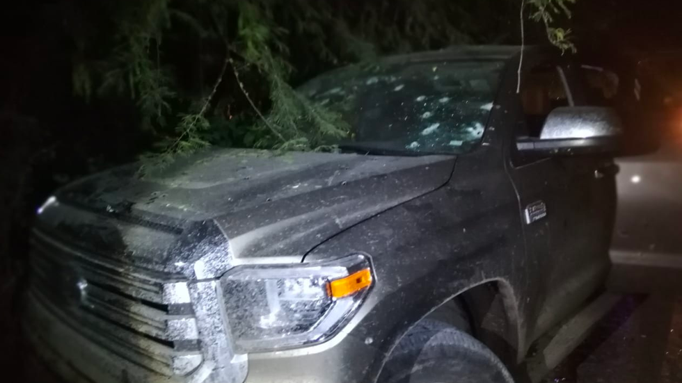 Abaten en Guanajuato a cinco civiles armados