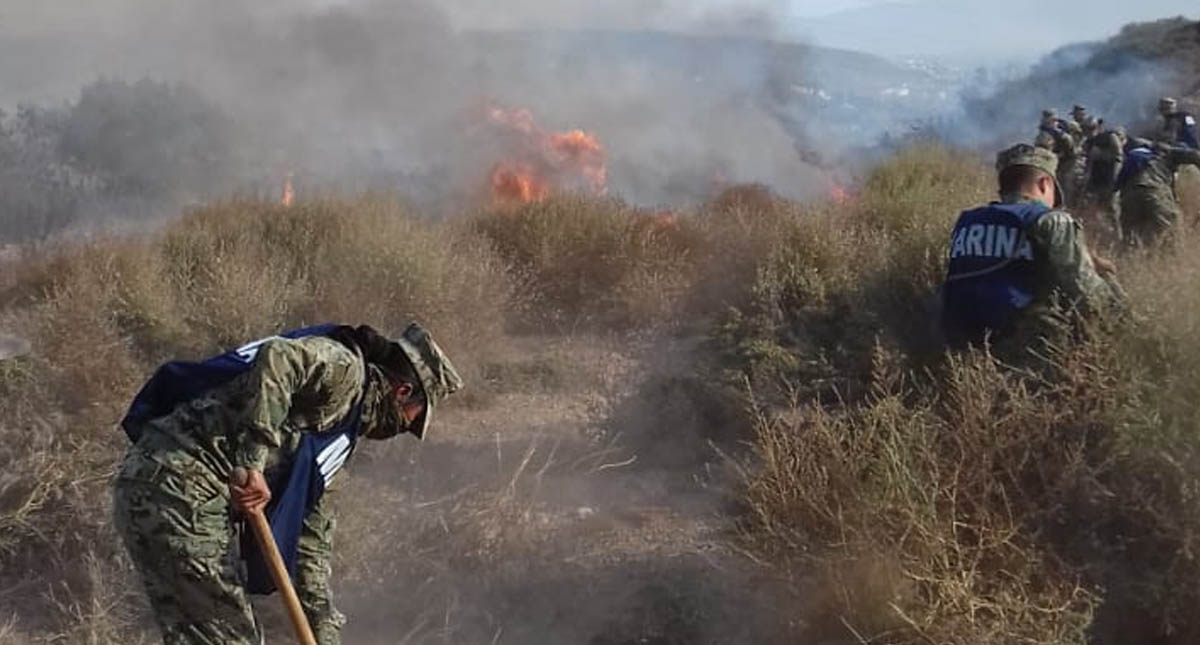 Suspenden clases en tres municipios de Baja California por vientos de Santa Ana Suspenden clases en tres municipios de Baja California por vientos de Santa Ana