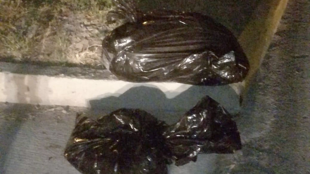 Fiscalía investiga identidad de cuatro cuerpos hallados en Jalisco