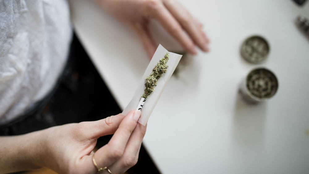 Monreal reconoce presiones para concretar dictamen sobre cannabis