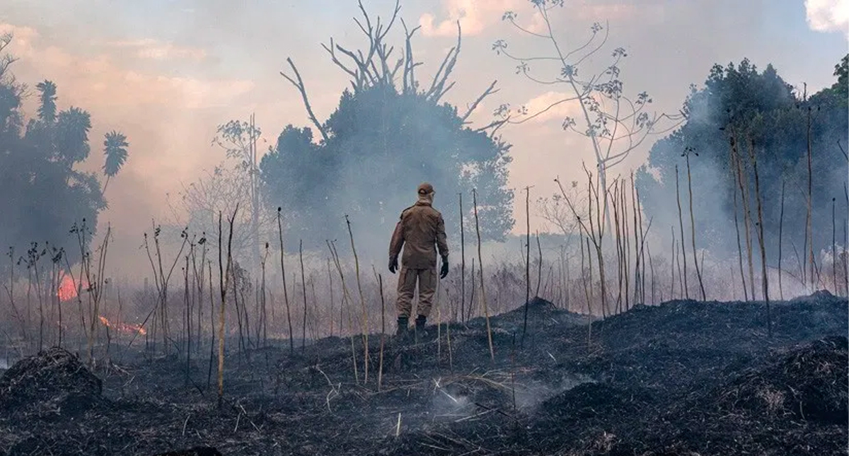 Guerra entre India y Pakistán provocaría catástrofe climática global