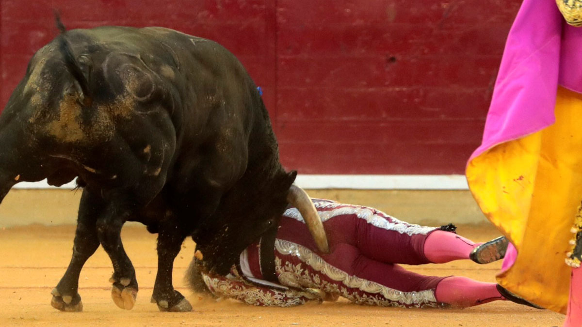 Mejora Mariano de la Viña tras sufrir dos cornadas - cornada-a-mariano-de-la-vina