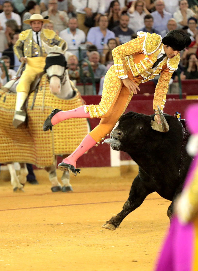 Miguel Ángel Perera evoluciona con normalidad tras cornada - cornada-a-miguel-angel-perera