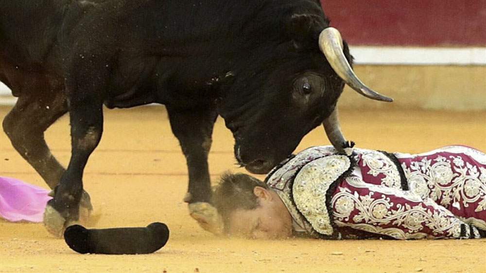 Mejora Mariano de la Viña tras sufrir dos cornadas - cornada-mariano-de-la-vina