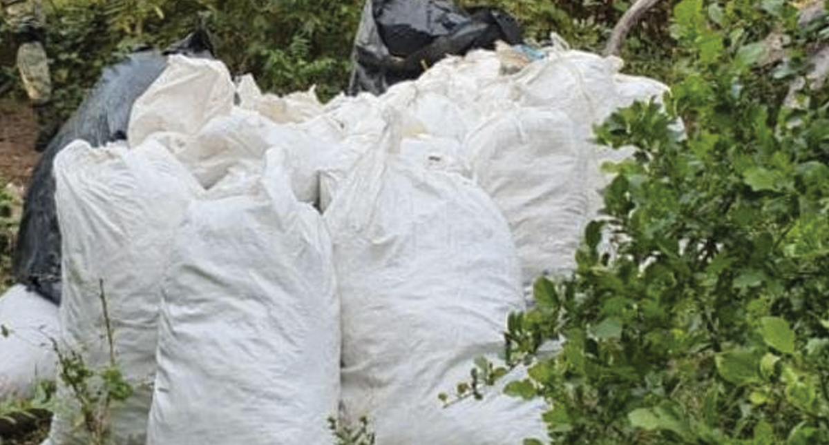 Decomisan 230 kilos de mariguana en Michoacán