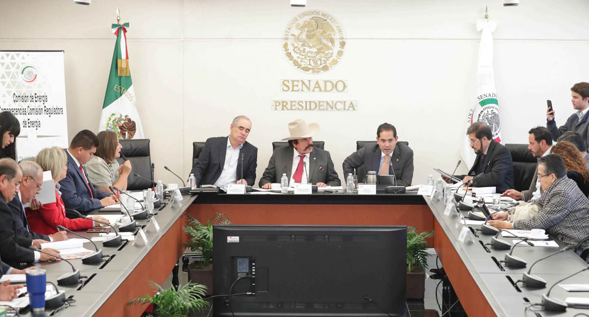 Aprueba Senado en comisión idoneidad de aspirantes para la CRE