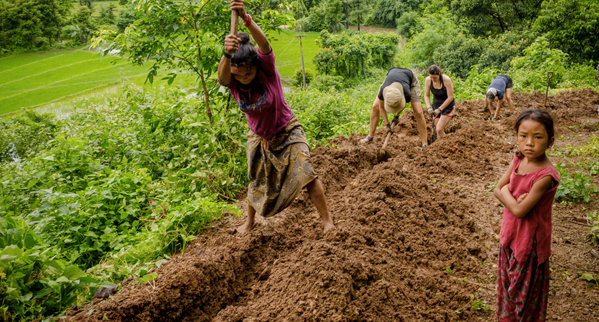 Crisis climática afecta alimentación en África