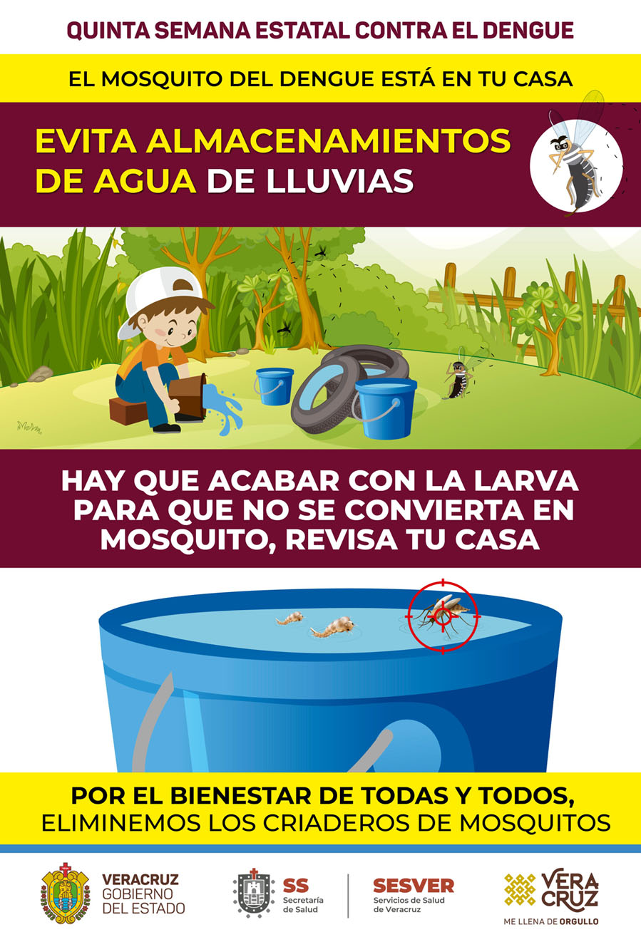 Asciende a 18 cifra de víctimas mortales por dengue en Veracruz - dengue-veracruz