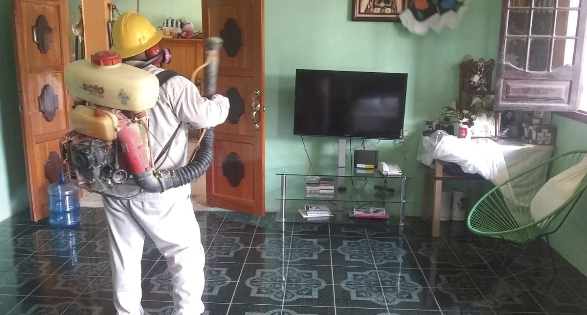 Aumenta a cuatro la cifra de muertos por dengue en Oaxaca