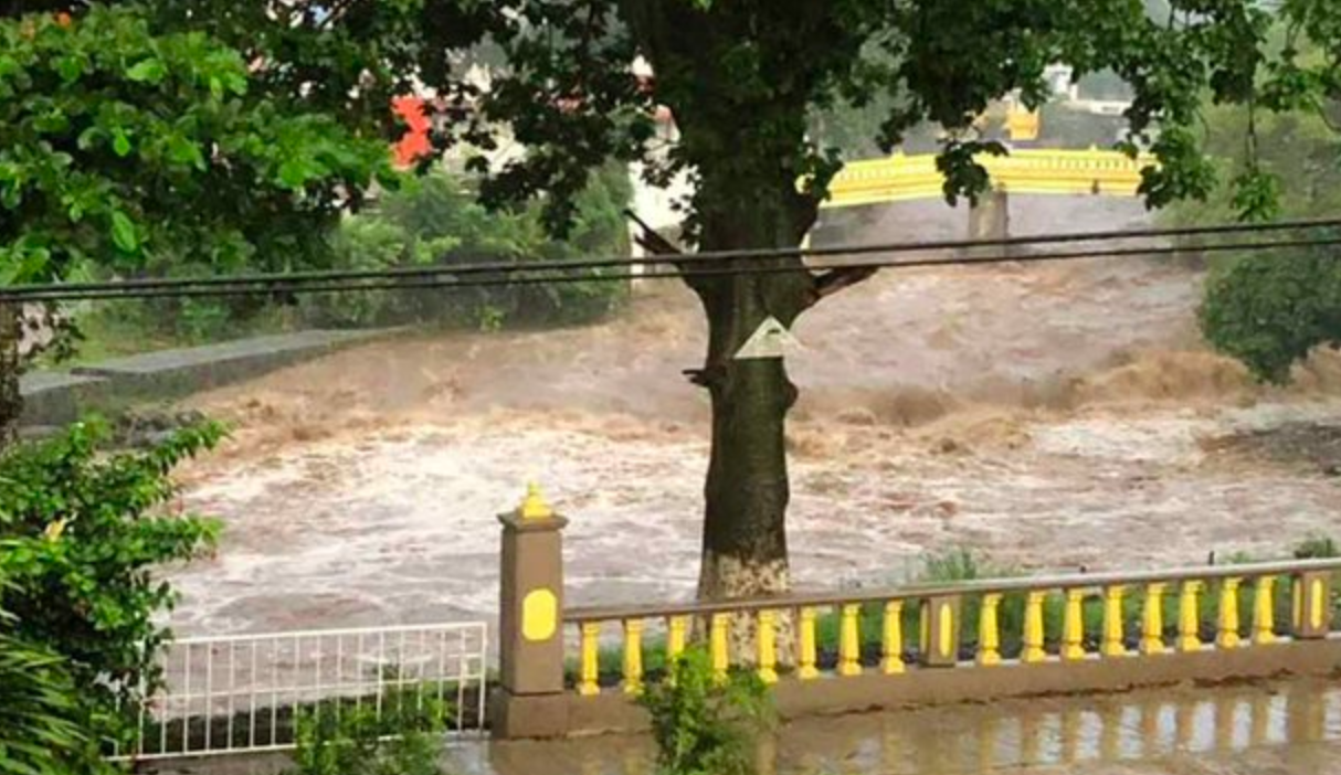 Más de 840 casas dañadas en Veracruz por desbordamiento de ríos