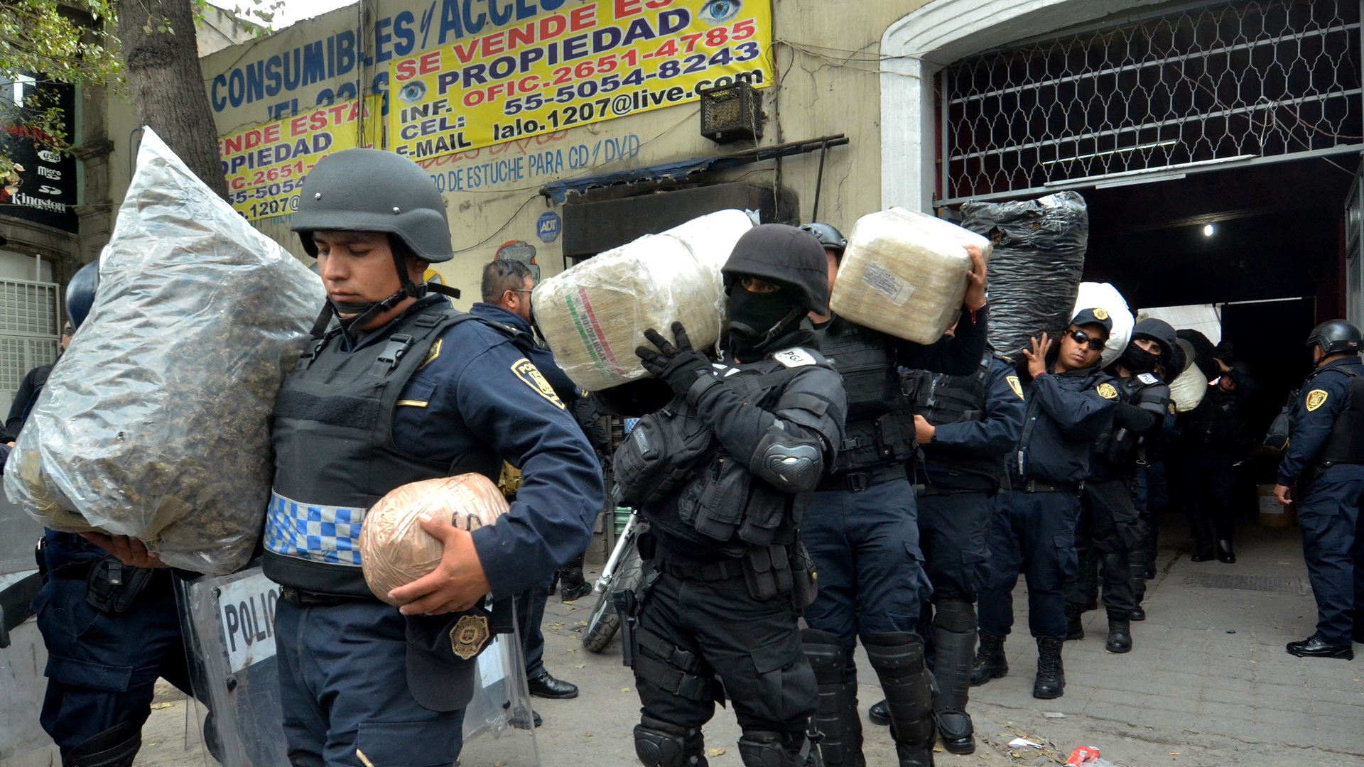 Investigan 42 cráneos encontrados durante cateo en predio de la Morelos