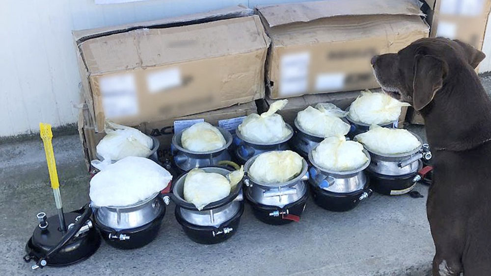 Decomisan droga oculta en empresa de paquetería en Tijuana