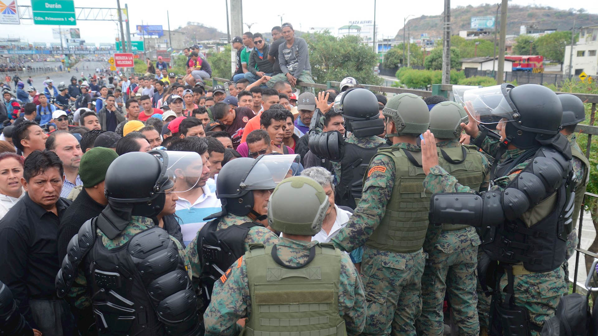 Marea blanca se congrega en Guayaquil y clama por la paz en Ecuador