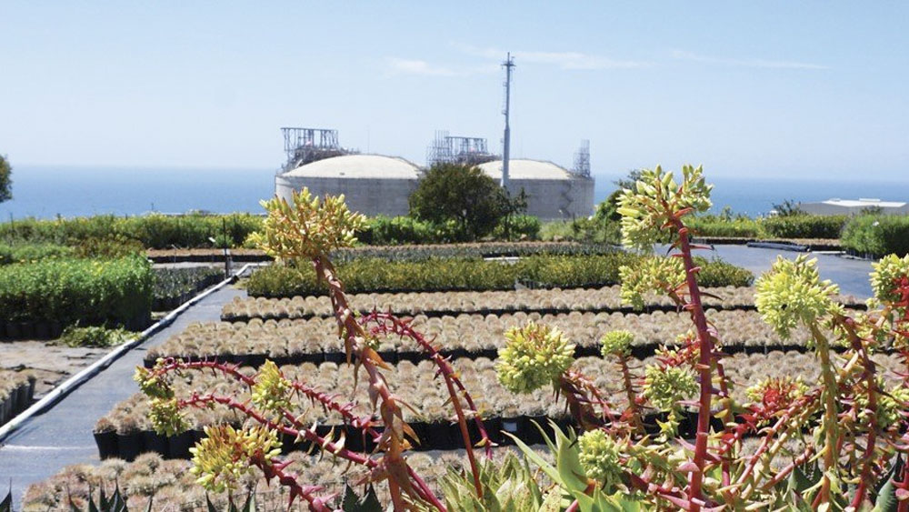 IEnova pospone proyecto de almacenamiento de gas natural licuado