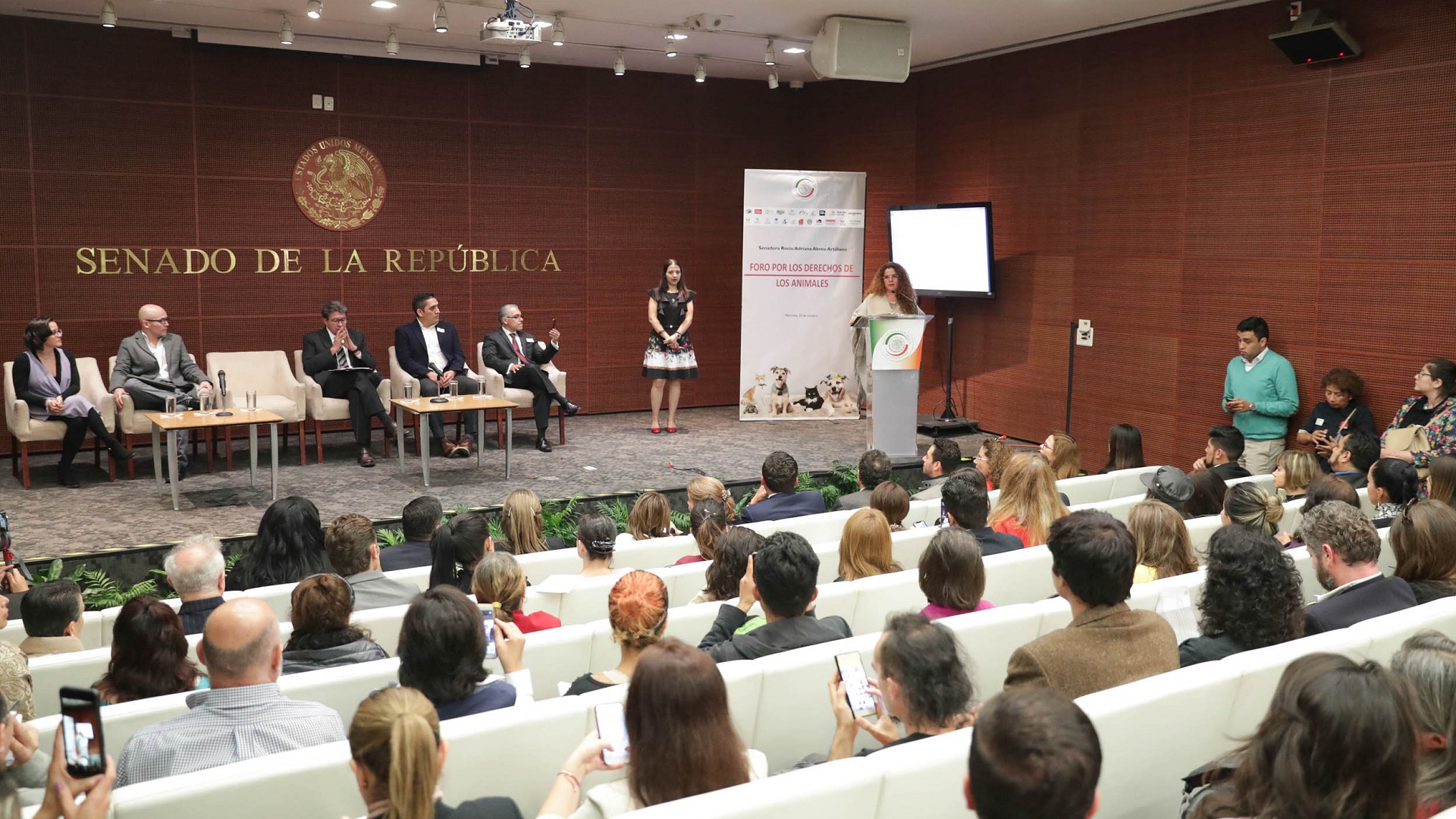 Senado propone hasta nueve años de cárcel por maltrato animal - foro-por-los-derechos-de-los-animales