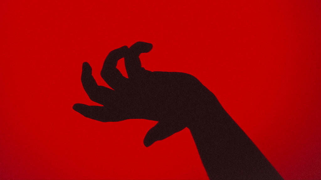 Adolescente confiesa asesinato de niña con autismo en Brasil