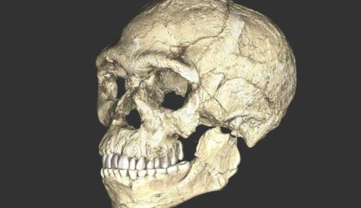 Descubren el hogar ancestral del hombre moderno