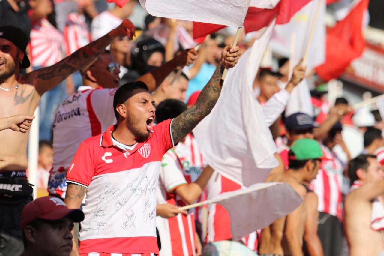 Sin presupuesto, por méritos propios - img-6469