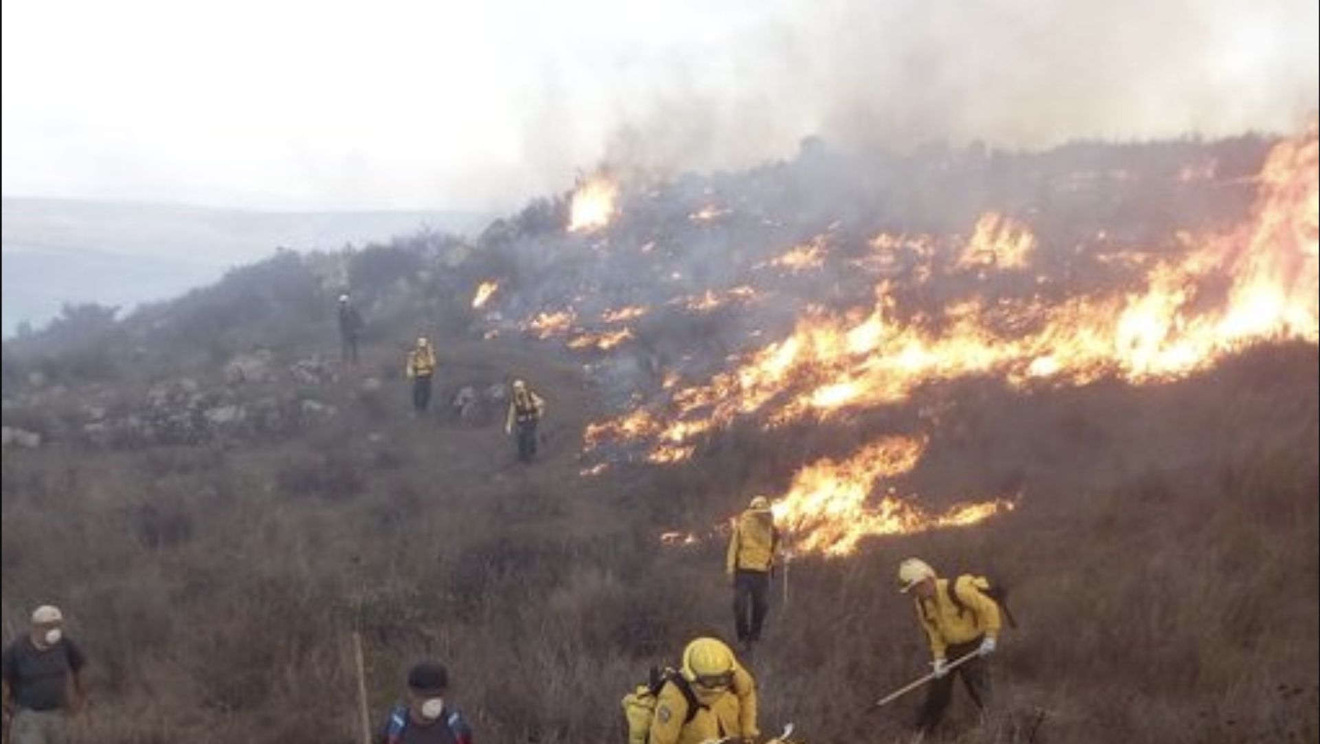 Controlan entre 95 y 100 por ciento incendios en Ensenada y Tecate